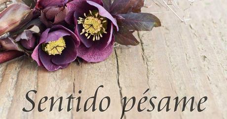 15 frases de pésame para consolar a un ser querido