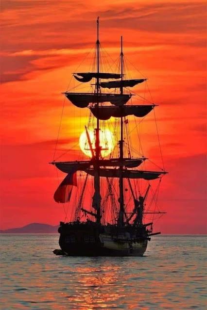 El mortal pacto del PP con Vox... Y Feijóo usa con profusión la mentira.