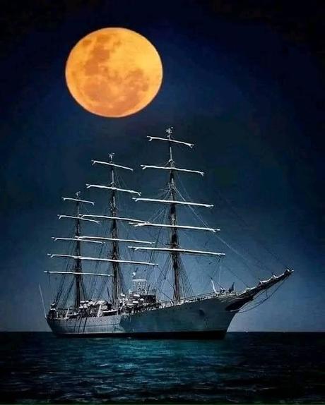 El mortal pacto del PP con Vox... Y Feijóo usa con profusión la mentira.