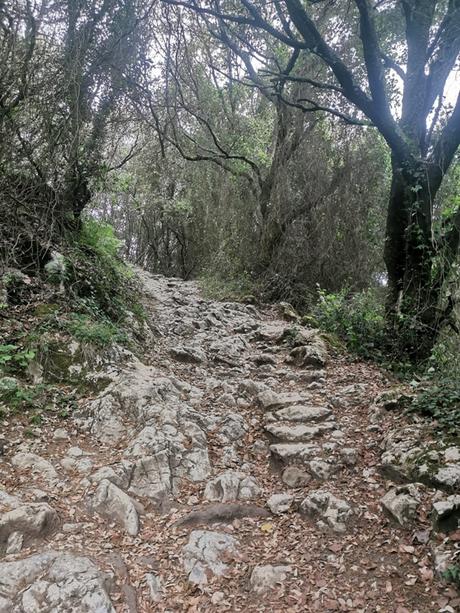 Camino de Santiago, Deba-Bolívar (IV)