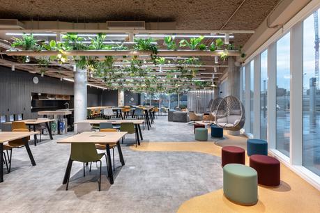 La innovadora propuesta del nuevo espacio de co-work de BASF: claves de iluminación que acompañan el ciclo circadiano