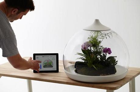 Biome :: terrario inteligente