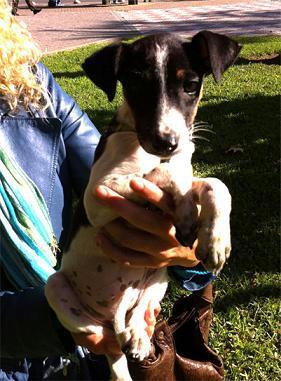 Dona , solo dos meses y ya sabe demasiado de lo que nunca debió conocer Córdoba