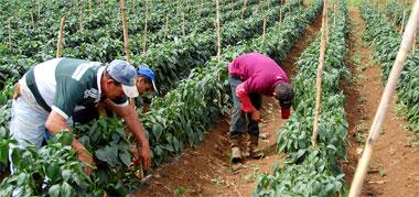“En Morán no vamos a permitir más invasiones de fincas”