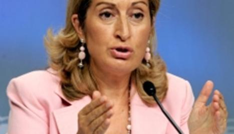 Contestación desesperada a quien ya se encuentra en plena desesperación: