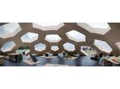 Architecture Plywood Dome