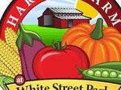 Colección logotipos Acción Gracias visualmente exquisitas