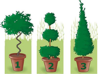 3º Aniversario de Paisajes Reales