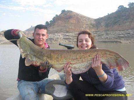 SILUROS Y LUCIOPERCAS EN NOVIEMBRE