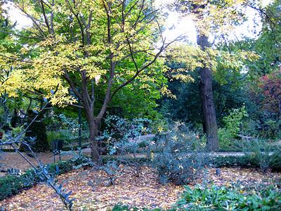 Espacios Vivos en Otoño