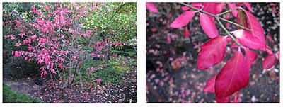 Espacios Vivos en Otoño