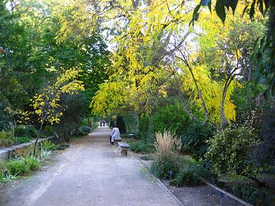 Espacios Vivos en Otoño