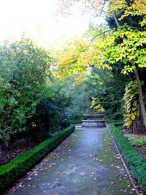 Espacios Vivos en Otoño