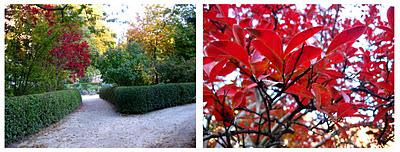 Espacios Vivos en Otoño