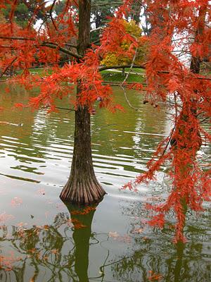 Espacios Vivos en Otoño