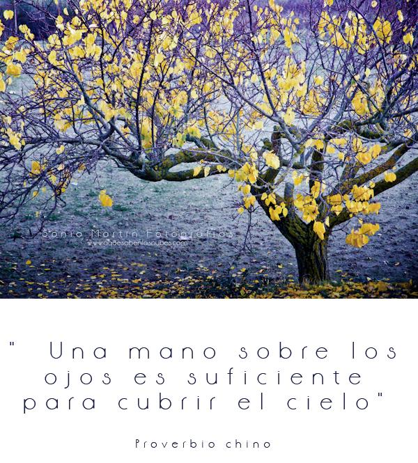 La frase que inspira…