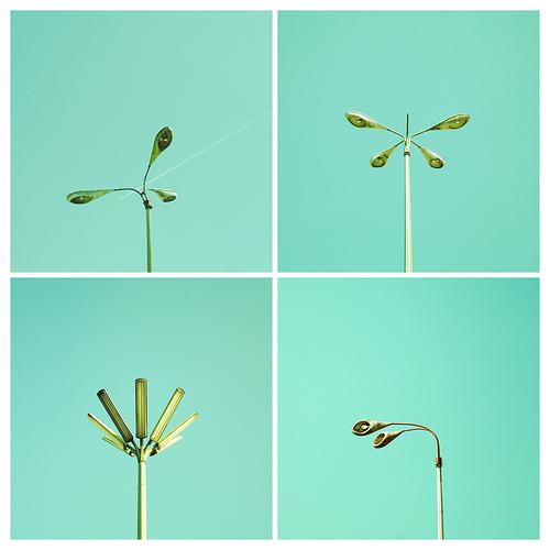 Matthias Heiderich – Fotografías