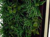 Libro jardín editorial clase turista