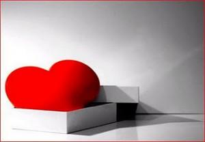 Quince consejos fáciles.