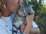 Urgente necesita mucha ayuda, esta para nuestros gatos!!