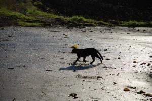 LUNA INVISIBLE A LOS OJOS