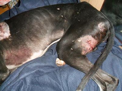 Reka, la historia repetida