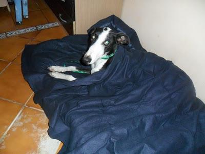 Reka, la historia repetida