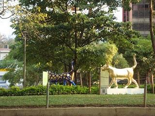 El Parque del Gato en Cali, Colombia