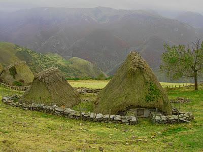 peña negra y el michu