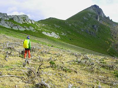 peña negra y el michu