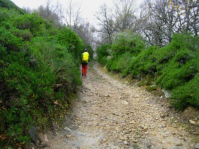 peña negra y el michu