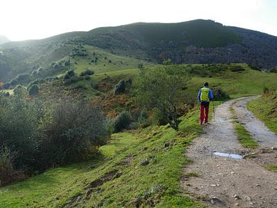 peña negra y el michu