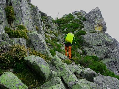 peña negra y el michu