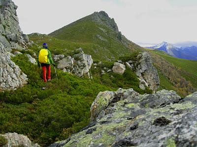 peña negra y el michu