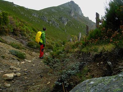 peña negra y el michu
