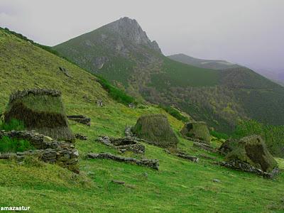 peña negra y el michu