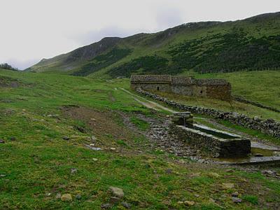 peña negra y el michu