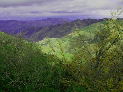 peña negra y el michu