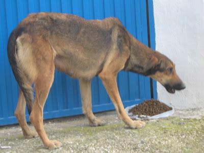 LA POBRE DE MURCIA SIGUE EN LA CARRETERA.