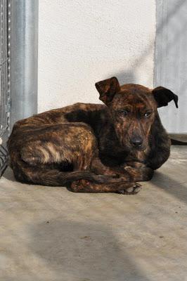 SACRIFICIO EN 24H..., ESTE SÁBADO 26, DIFUNDE POR FAVOR, LA RIOJA