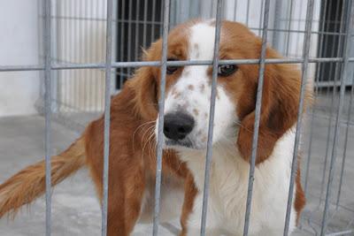 SACRIFICIO EN 24H..., ESTE SÁBADO 26, DIFUNDE POR FAVOR, LA RIOJA