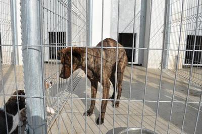 SACRIFICIO EN 24H..., ESTE SÁBADO 26, DIFUNDE POR FAVOR, LA RIOJA