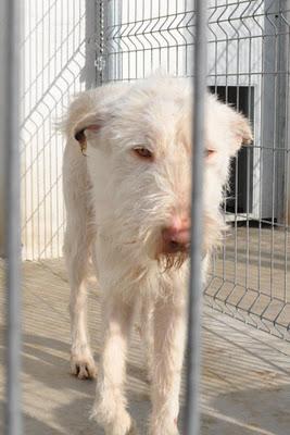 SACRIFICIO EN 24H..., ESTE SÁBADO 26, DIFUNDE POR FAVOR, LA RIOJA