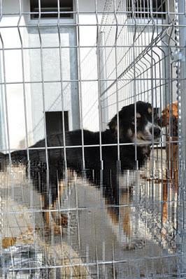 SACRIFICIO EN 24H..., ESTE SÁBADO 26, DIFUNDE POR FAVOR, LA RIOJA