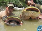 Noticia pesca