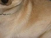 Devolvérmela favor, vida ella, gratificara!!!