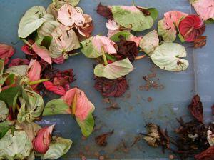 Foto: Natalia Huerta