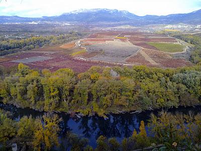 La Rioja, viñedos, Briones y menú de otoño