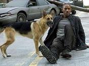 Perros Cine