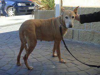 Carol en 9 años aún no sabe lo que es el cariño